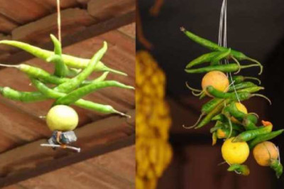 рдирдЬрд╝рд░ рдмрдЯреНрдЯреВ рд╕реЗ рд▓реЗрдХрд░ рдкреАрдкрд▓ рдкреЗрдбрд╝ рдХреЗ рднреВрдд рддрдХ  - рдпреЗ рд╣реИ рднрд╛рд░рдд рдореЗрдВ рдлреИрд▓рд╛ рдЕрдВрдзрд╡рд┐рд╢реНрд╡рд╛рд╕