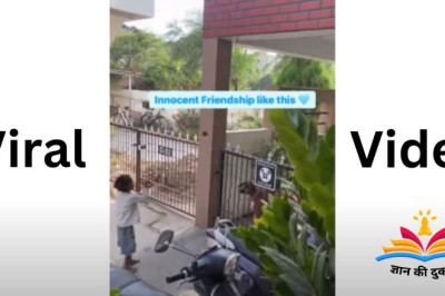 Viral Video: рдПрдХ рдмреЗрдШрд░ рдмрдЪреНрдЪреА рдХреЗ рд╕рд╛рде рдЦреЗрд▓рддрд╛ рдкрд╛рд▓рддреВ рдХреБрддреНрддреЗ рдХреА рдпреЗ рд╡реАрдбрд┐рдпреЛ рдЬрд┐рд╕рдиреЗ рд╕рдмрдХрд╛ рджрд┐рд▓ рдЬреАрдд рд▓рд┐рдпрд╛